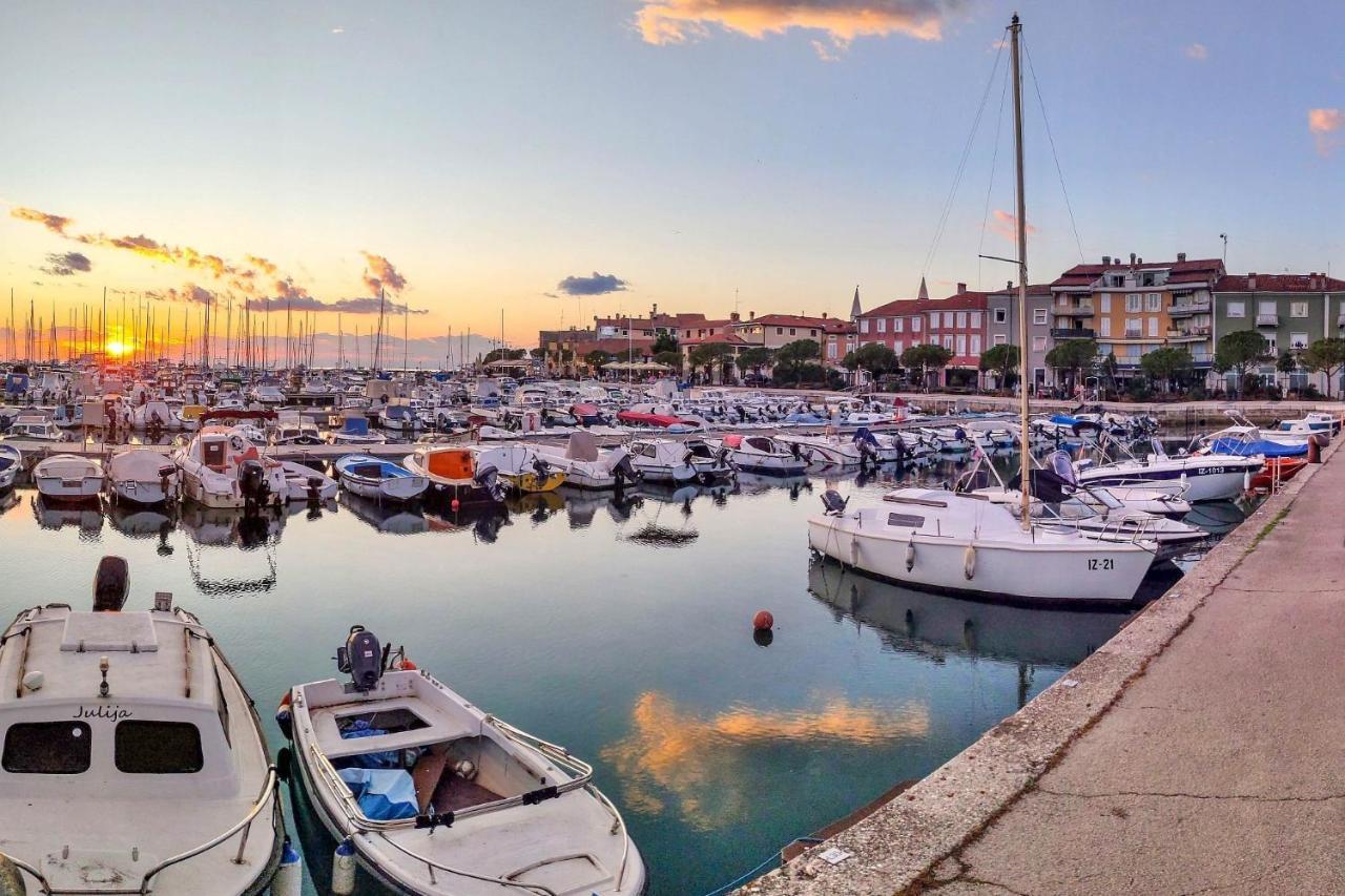 Bivalvia * Koper