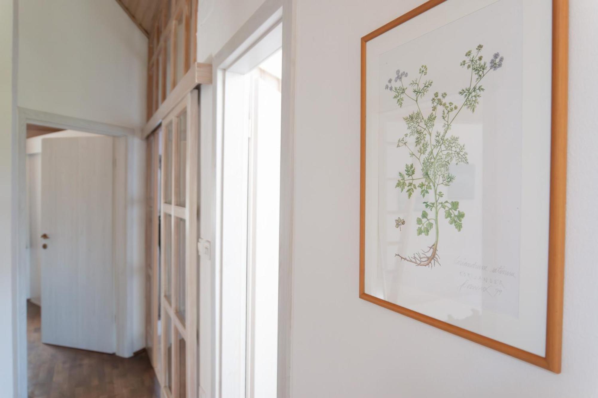 Apartment Bivalvia Koper