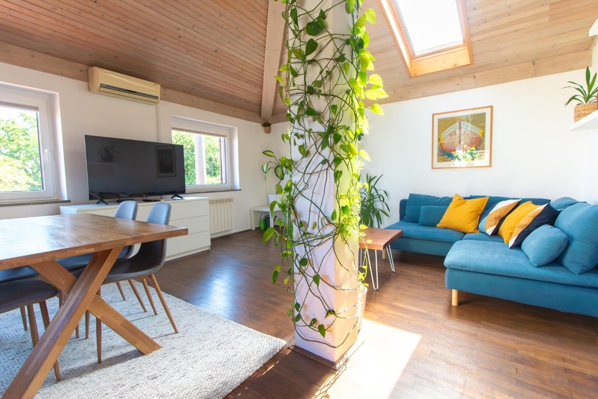 Apartment Bivalvia